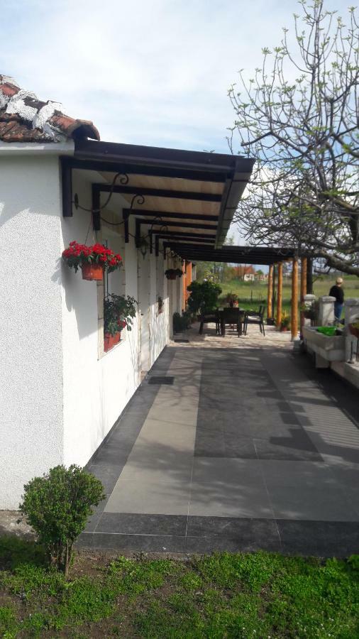 Pensions Airport Podgorica Exterior foto